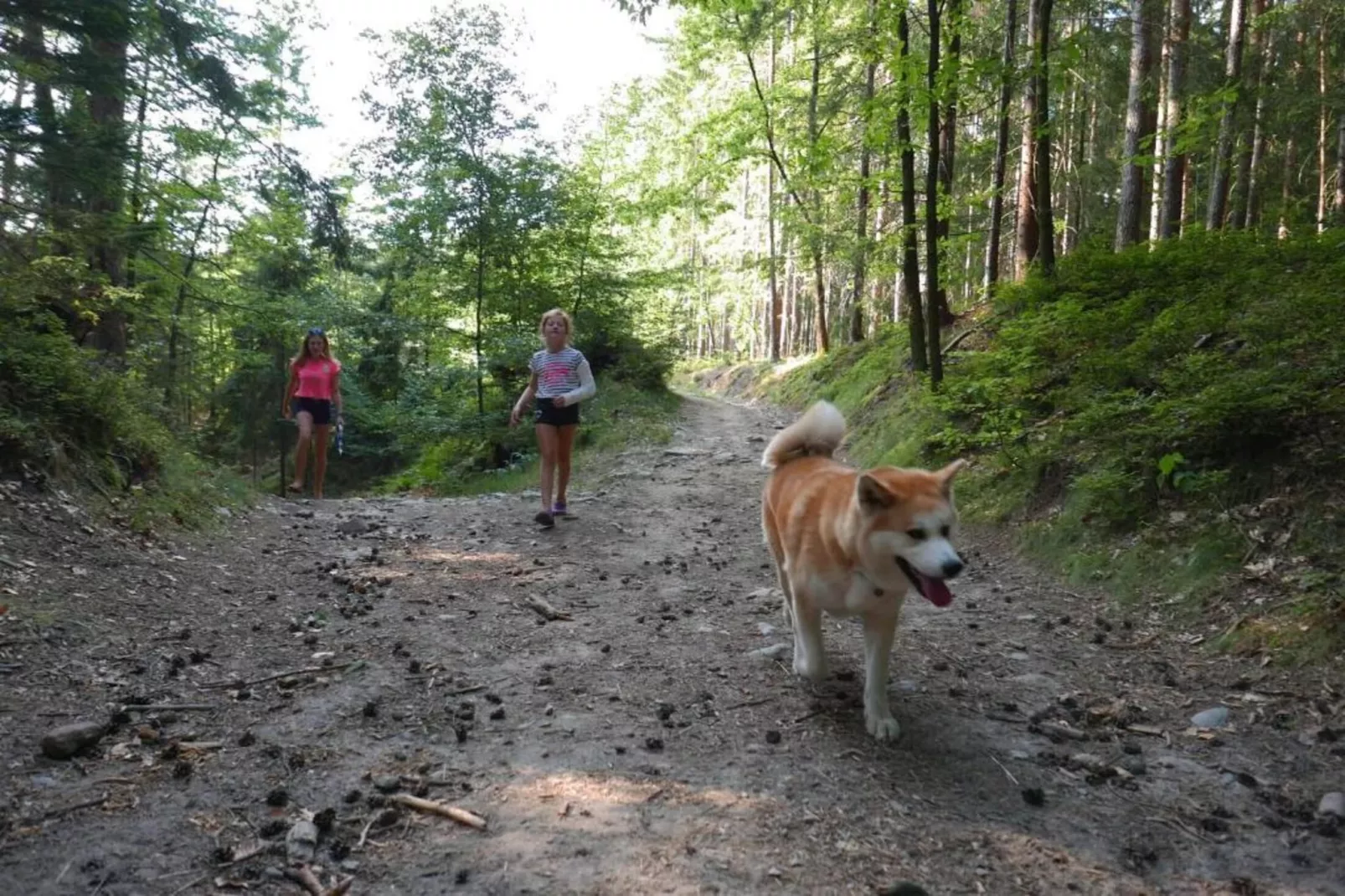 Green Valley Park 1-Gebieden zomer 20km