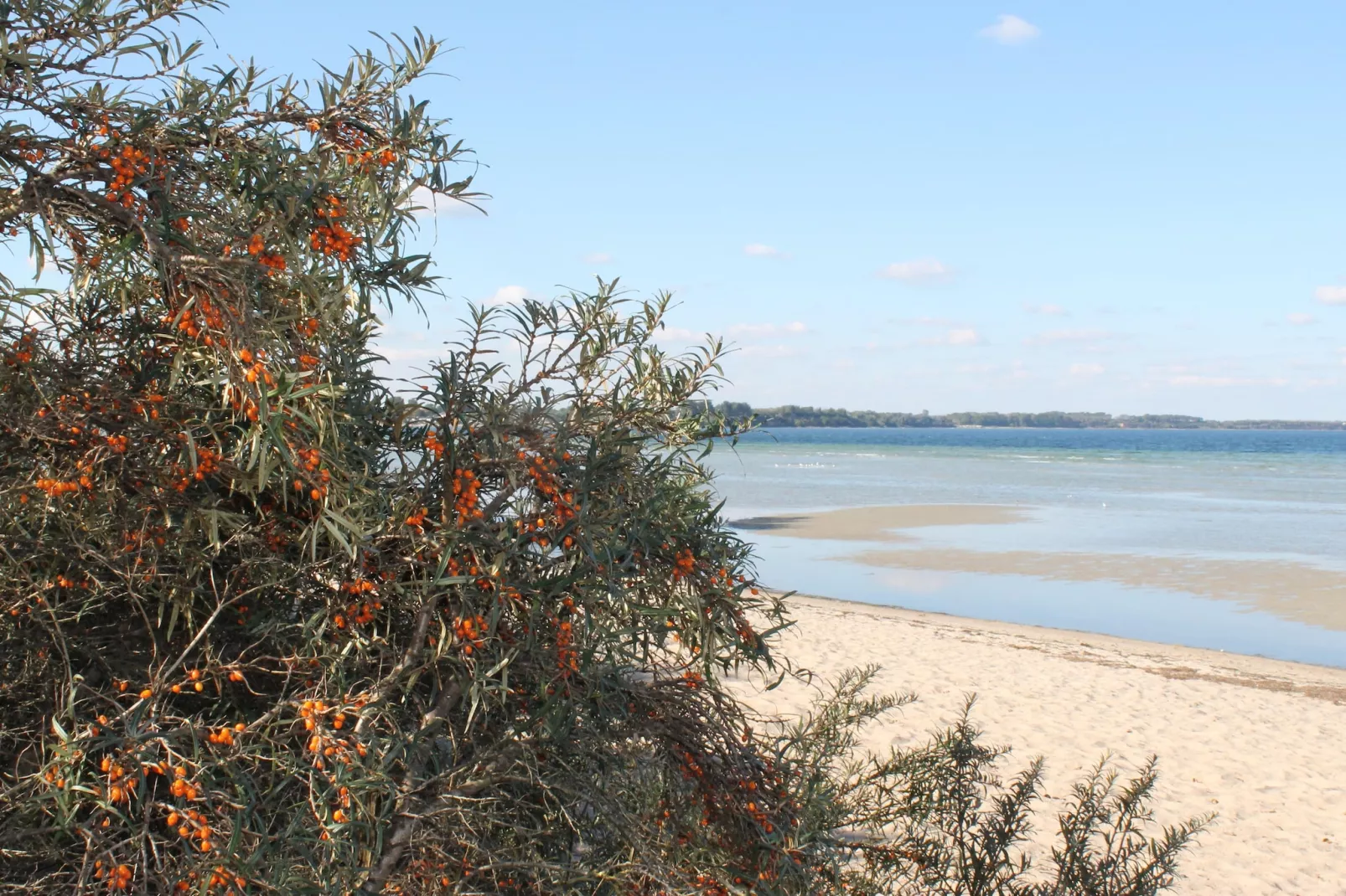 Landidyll im Gartenbungalow-Overloop