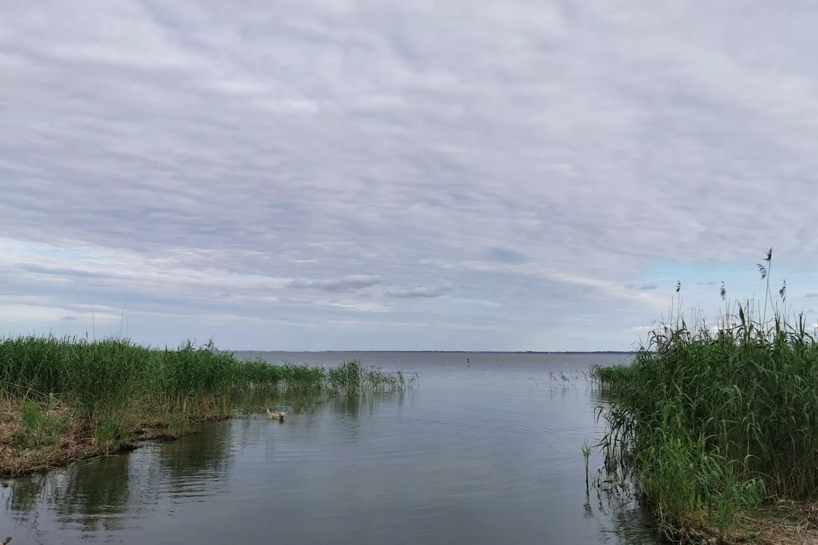 Urlaub auf der Insel Usedom-Gebieden zomer 1km