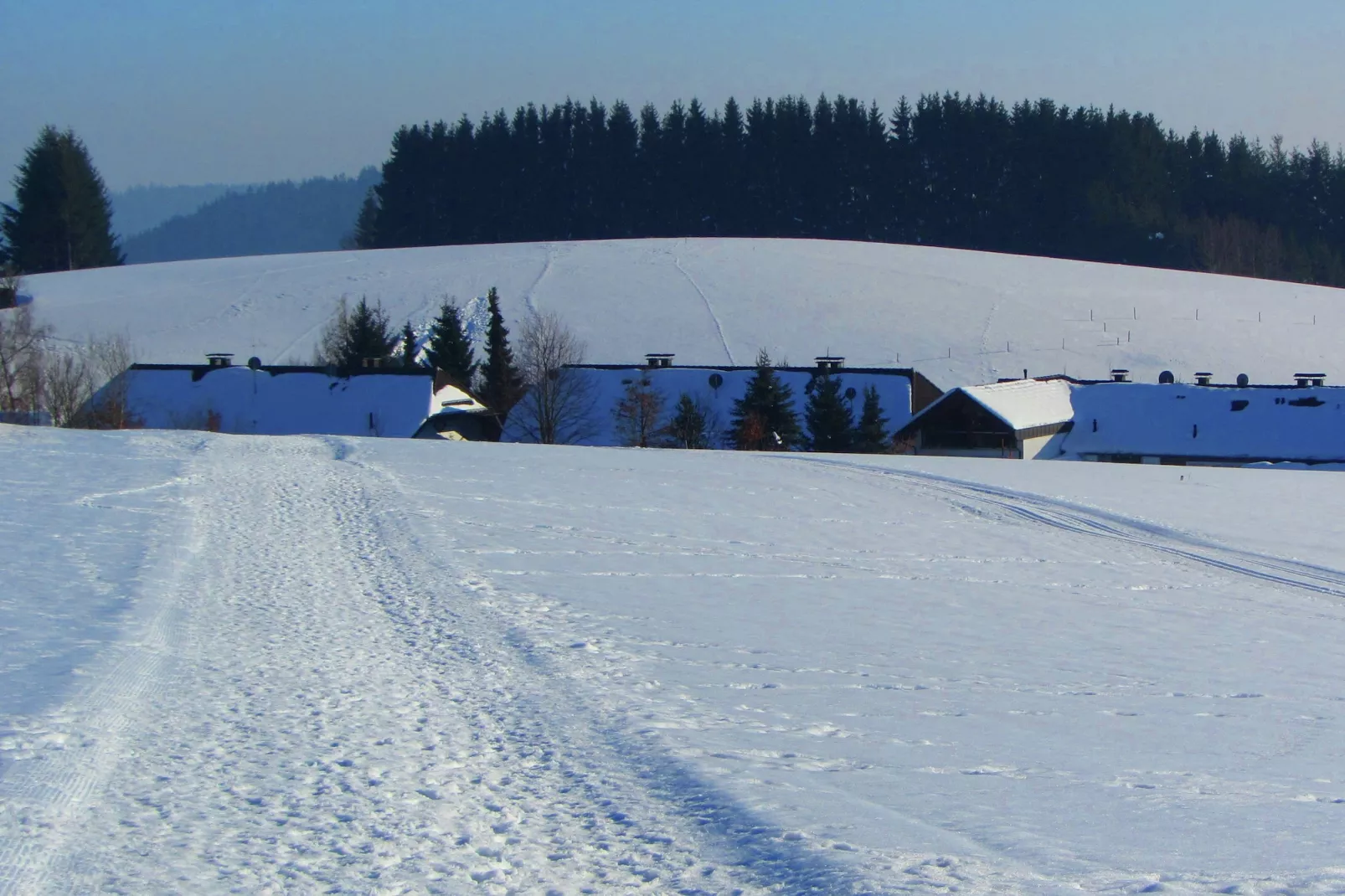 Laureen-Gebied winter 1km