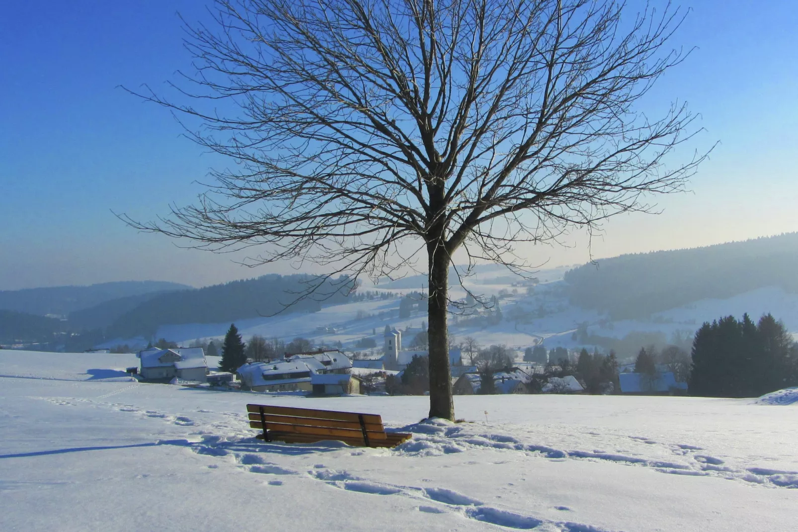 Laureen-Gebied winter 1km