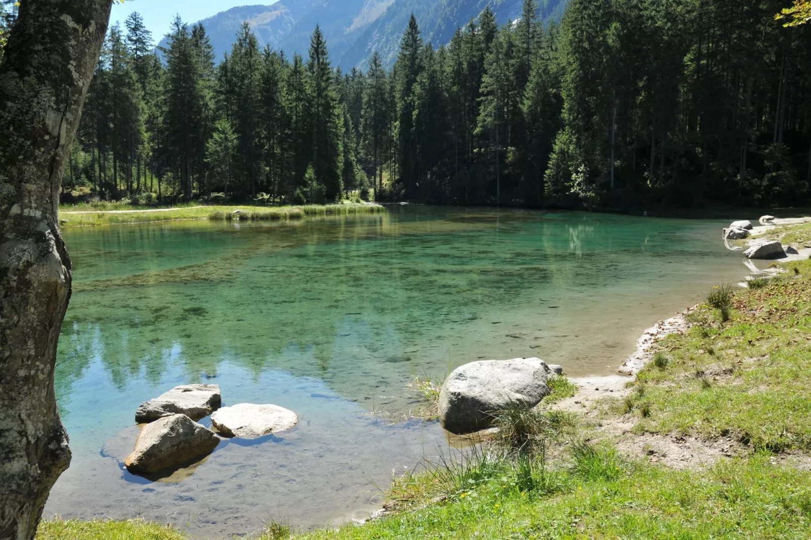 Residenz Wildkogelbahnen Top 6-Gebieden zomer 5km