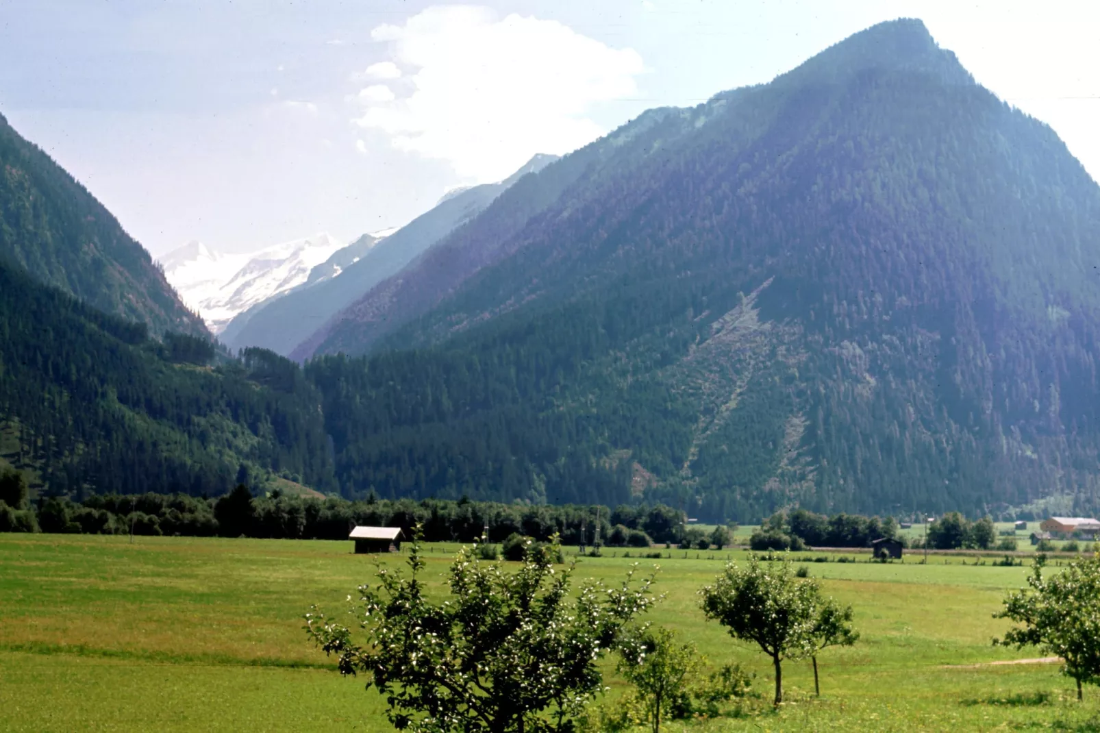 Residenz Wildkogelbahnen Top 6-Gebieden zomer 5km