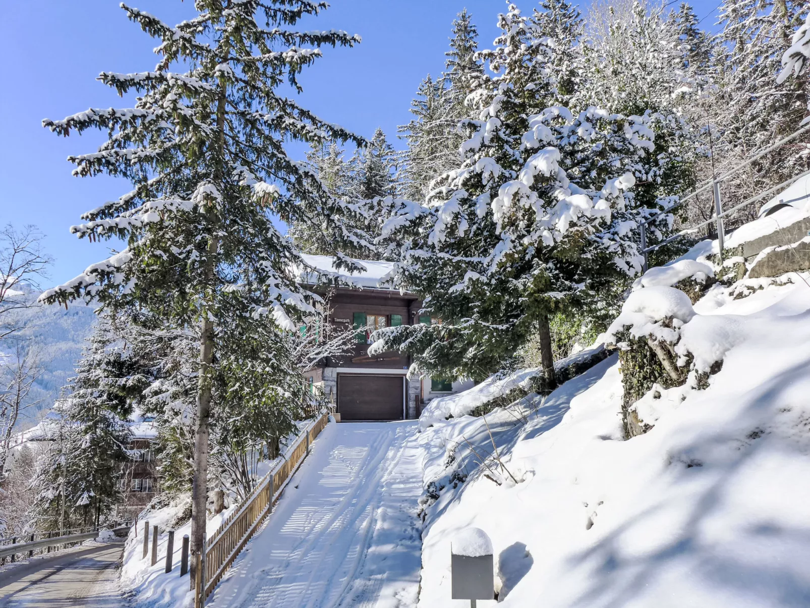 Chalet Tannengüetli-Buiten