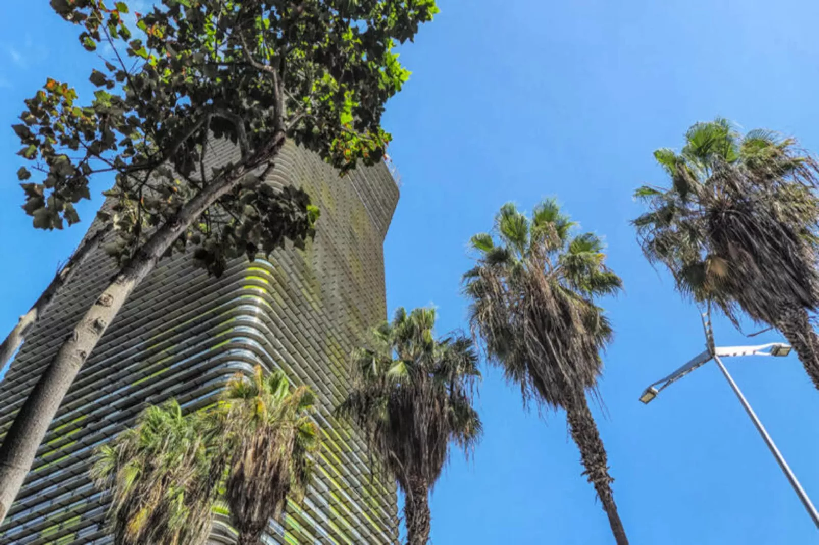 Studio à Las Palmas de Gran Canaria-Buitenkant zomer