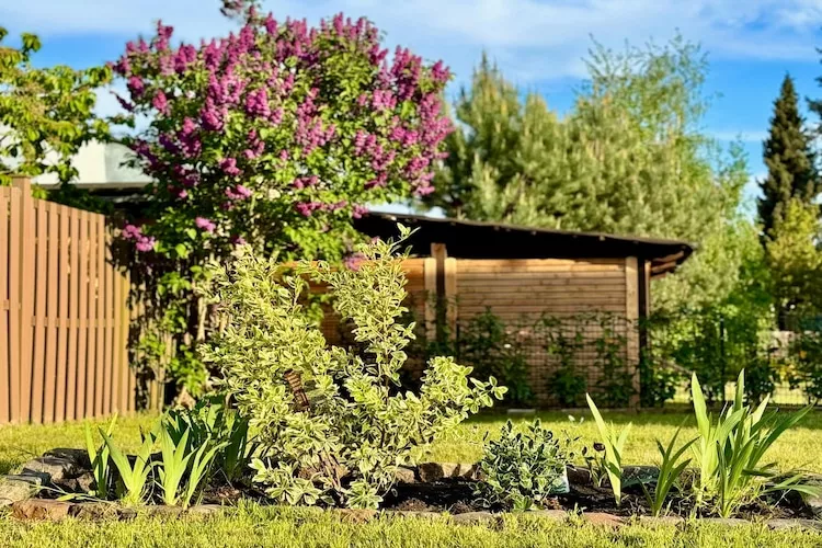 Ferienhaus Havelzeit - 2 Personen-Tuinen zomer