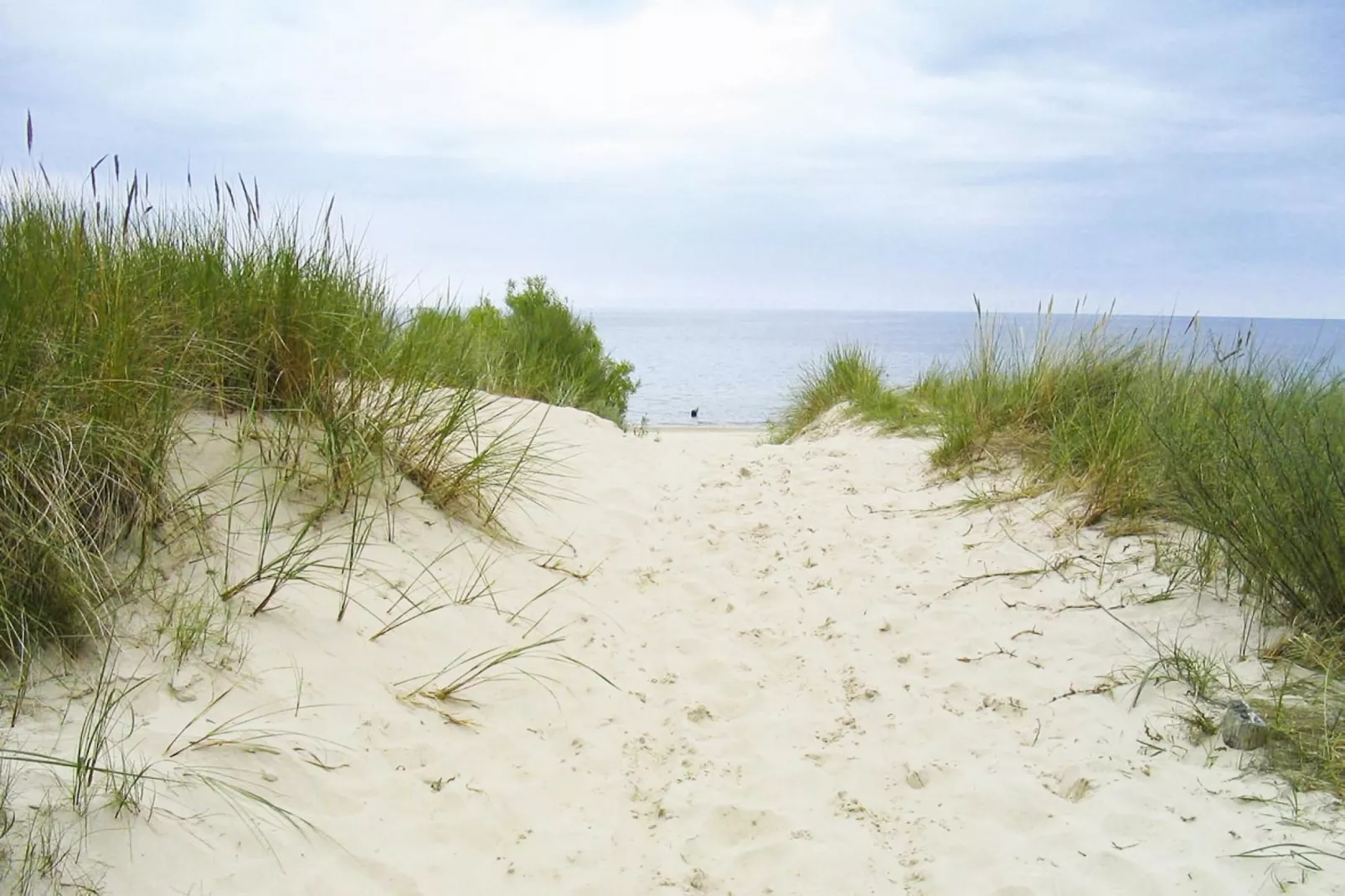 Dünenwaldhaus Rechts-Gebieden zomer 1km