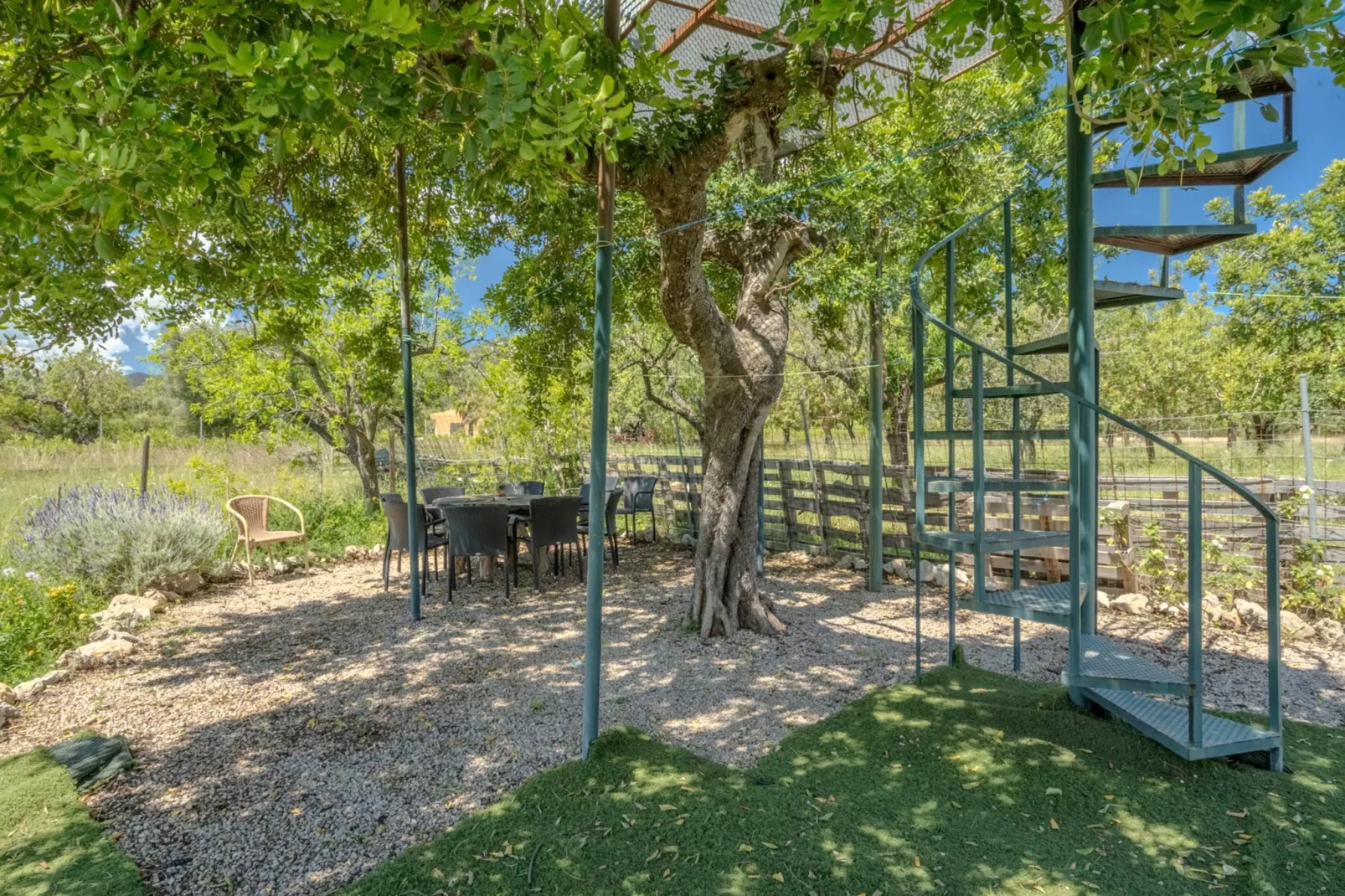 Sa Xabola, Finca 5StarsHome Mallorca-Image-tags.