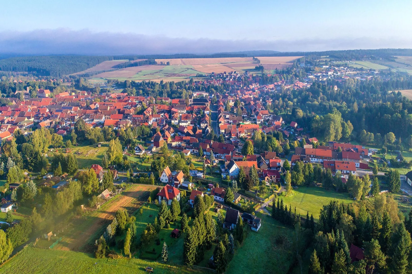 Ferienhaus in Hasselfelde - Haus 509 Auerhahn-Buitenkant zomer