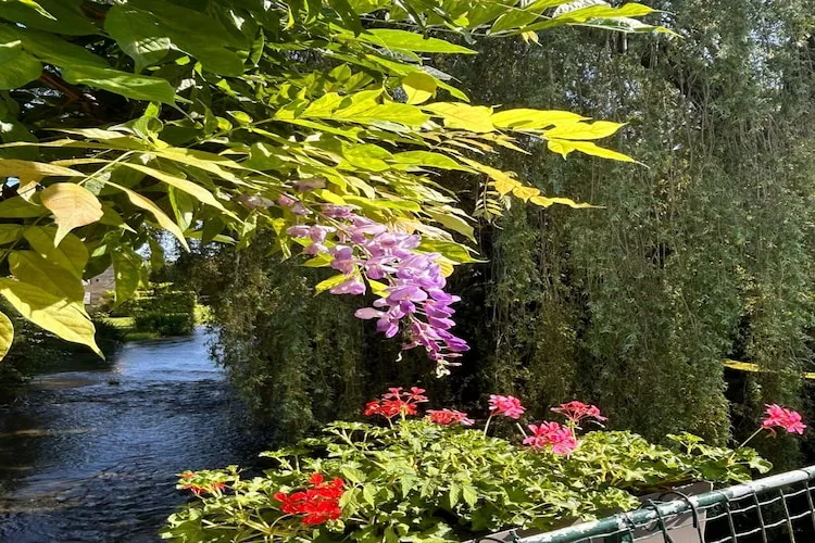 Bligny-sur-Ouche-Gebieden zomer 5km