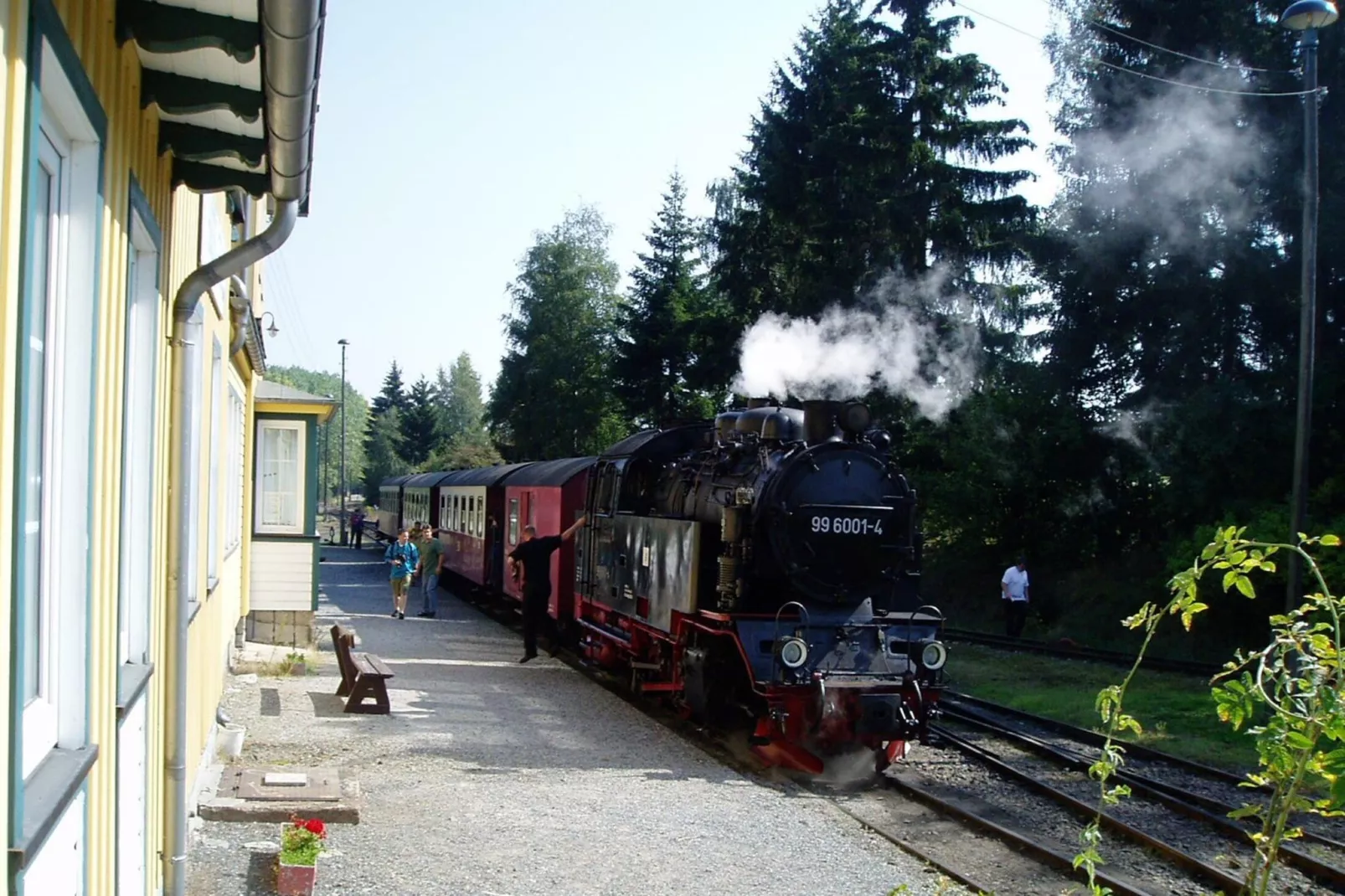 Ferienhaus in Hasselfelde - Haus 509 Auerhahn-Buitenkant zomer