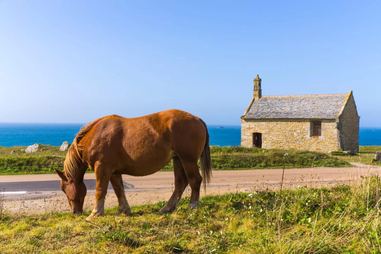 ROSCAROC - ENEZ KARN (côté mer) - Portsall-Image-tags.