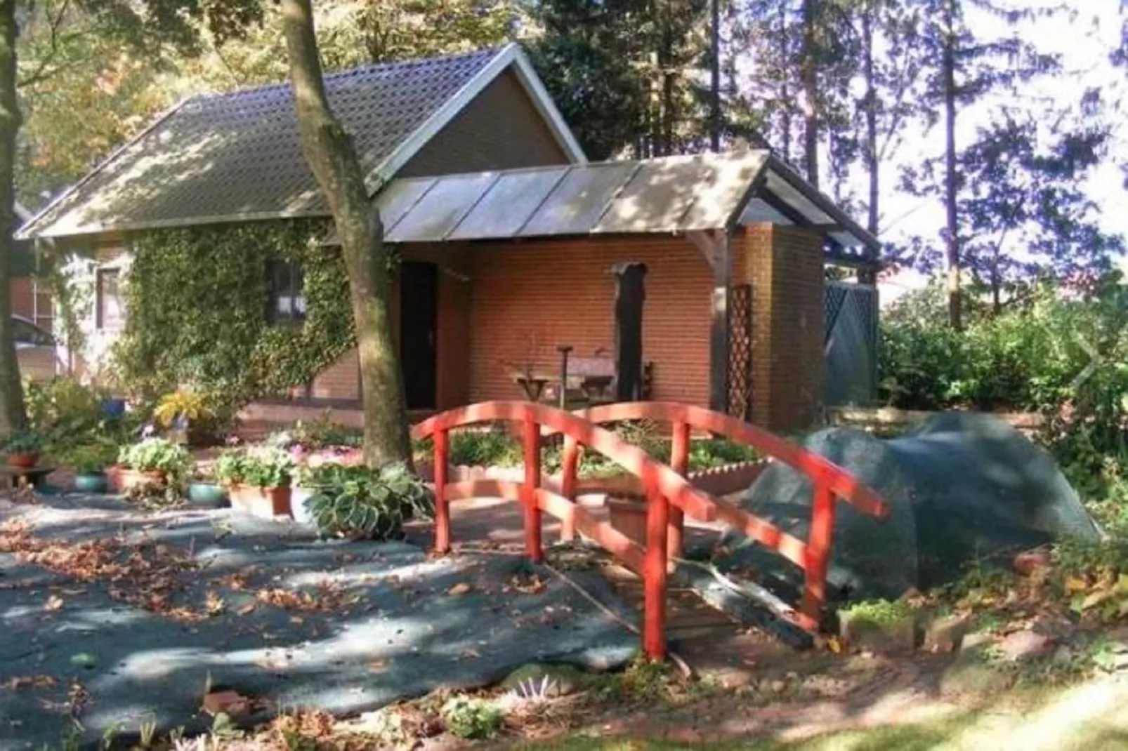 Landhaus an der Hase-Tuinen zomer