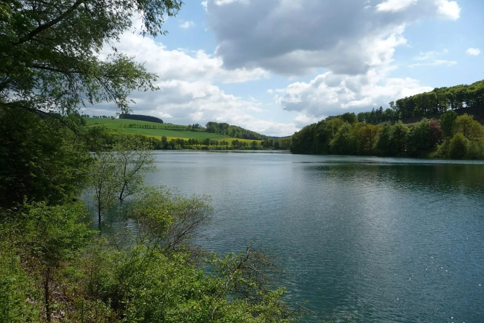 Wilzenberg II-Gebieden zomer 5km