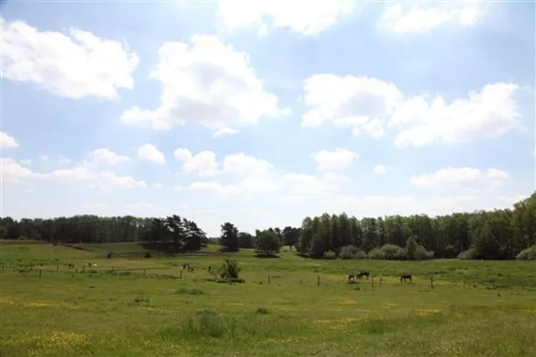 Ferienhäuser Inselblick / Ferienhaus 1 60 qm-Uitzicht zomer