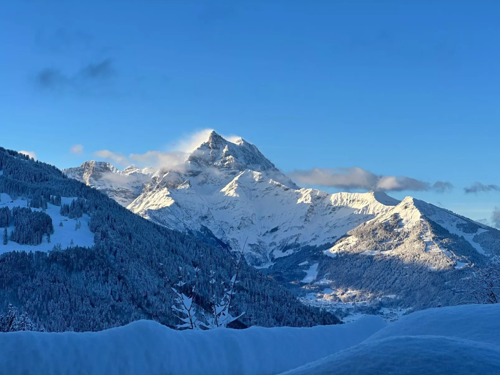 Chalet Les Pars-Buiten