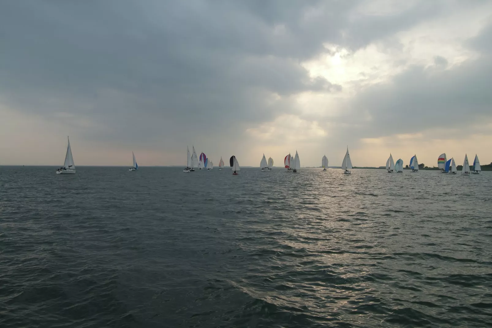 Villapark De Oesterbaai 15-Gebieden zomer 5km