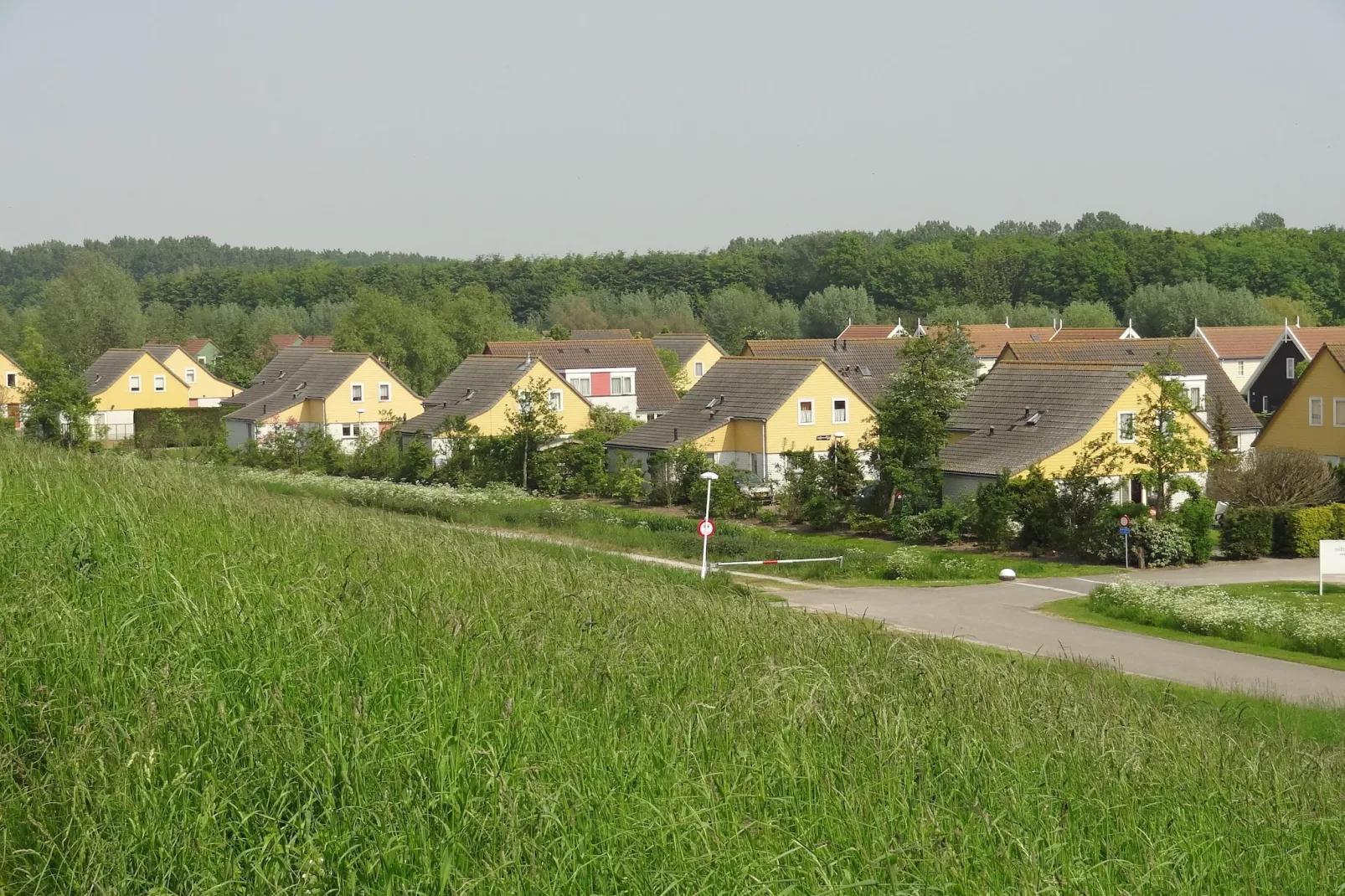 Villapark De Oesterbaai 15-Gebieden zomer 5km