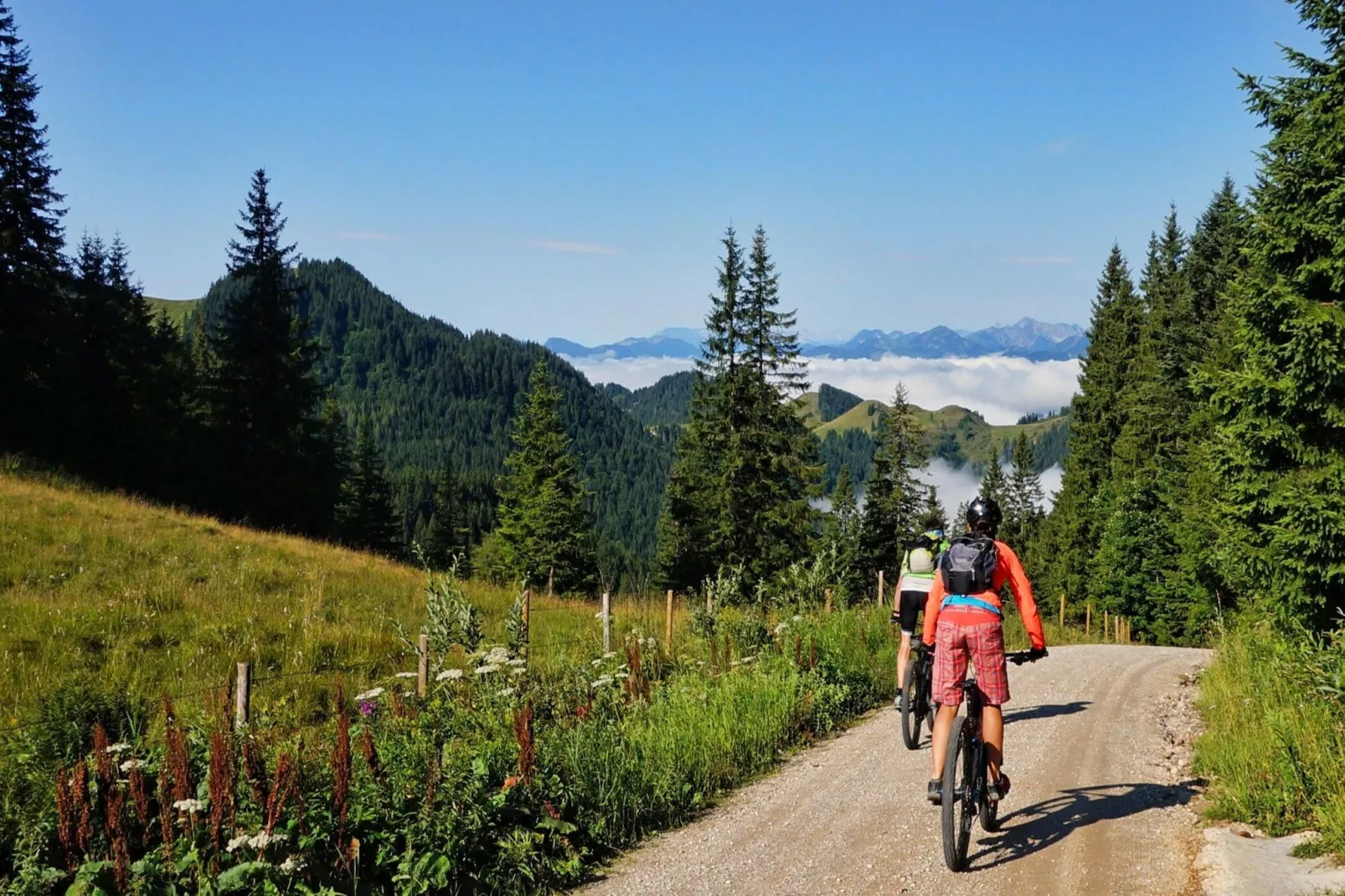 Ferienhaus Sturmer-Gebieden zomer 5km