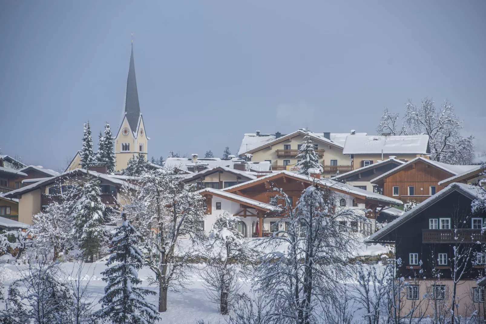 Comfort Chalet-Gebied winter 20km