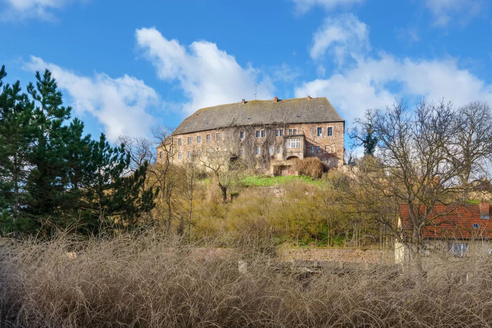 Ferienwohnung im Schloss Friedeburg-Gebieden zomer 1km