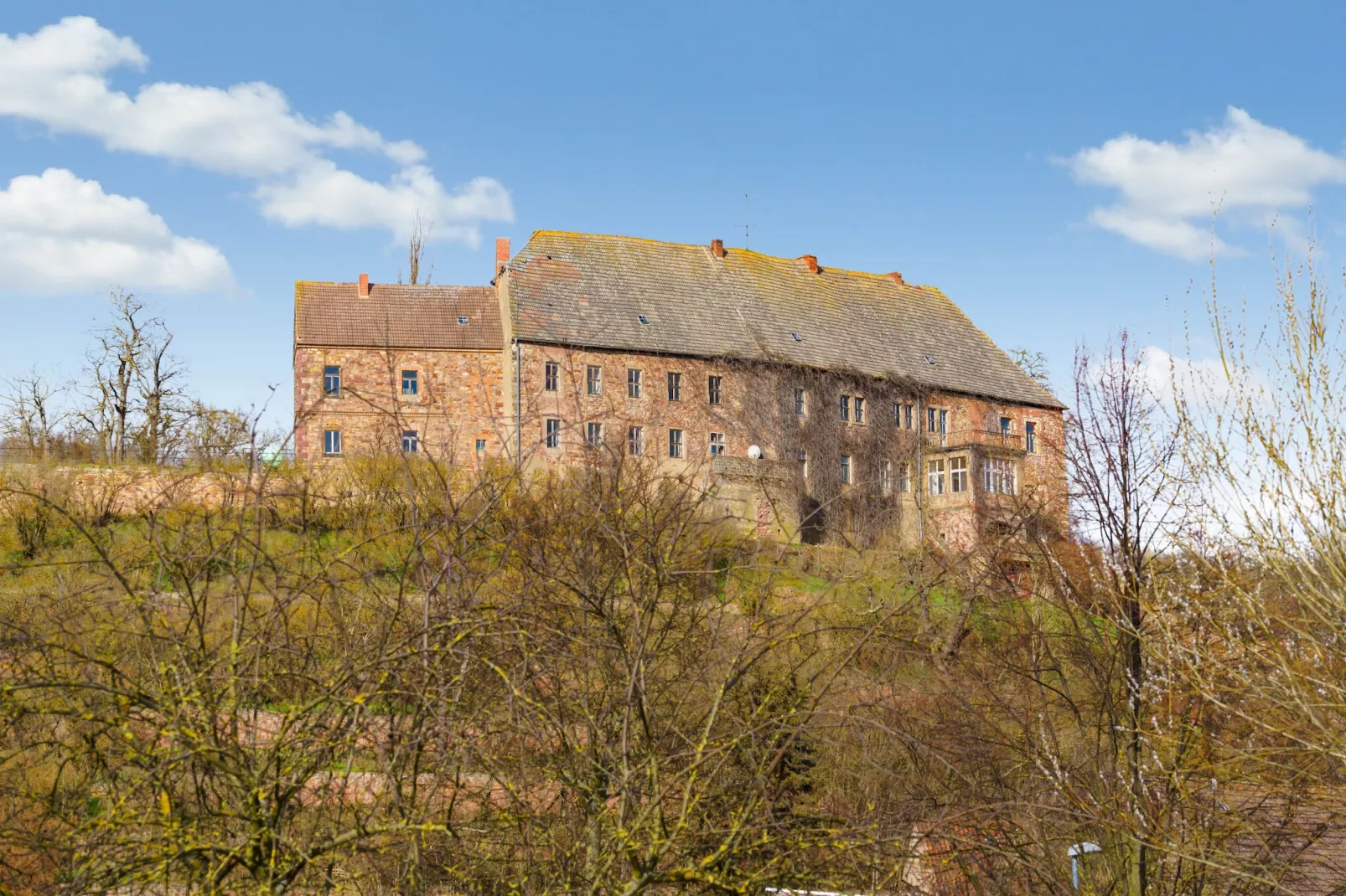 Ferienwohnung im Schloss Friedeburg-Gebieden zomer 1km