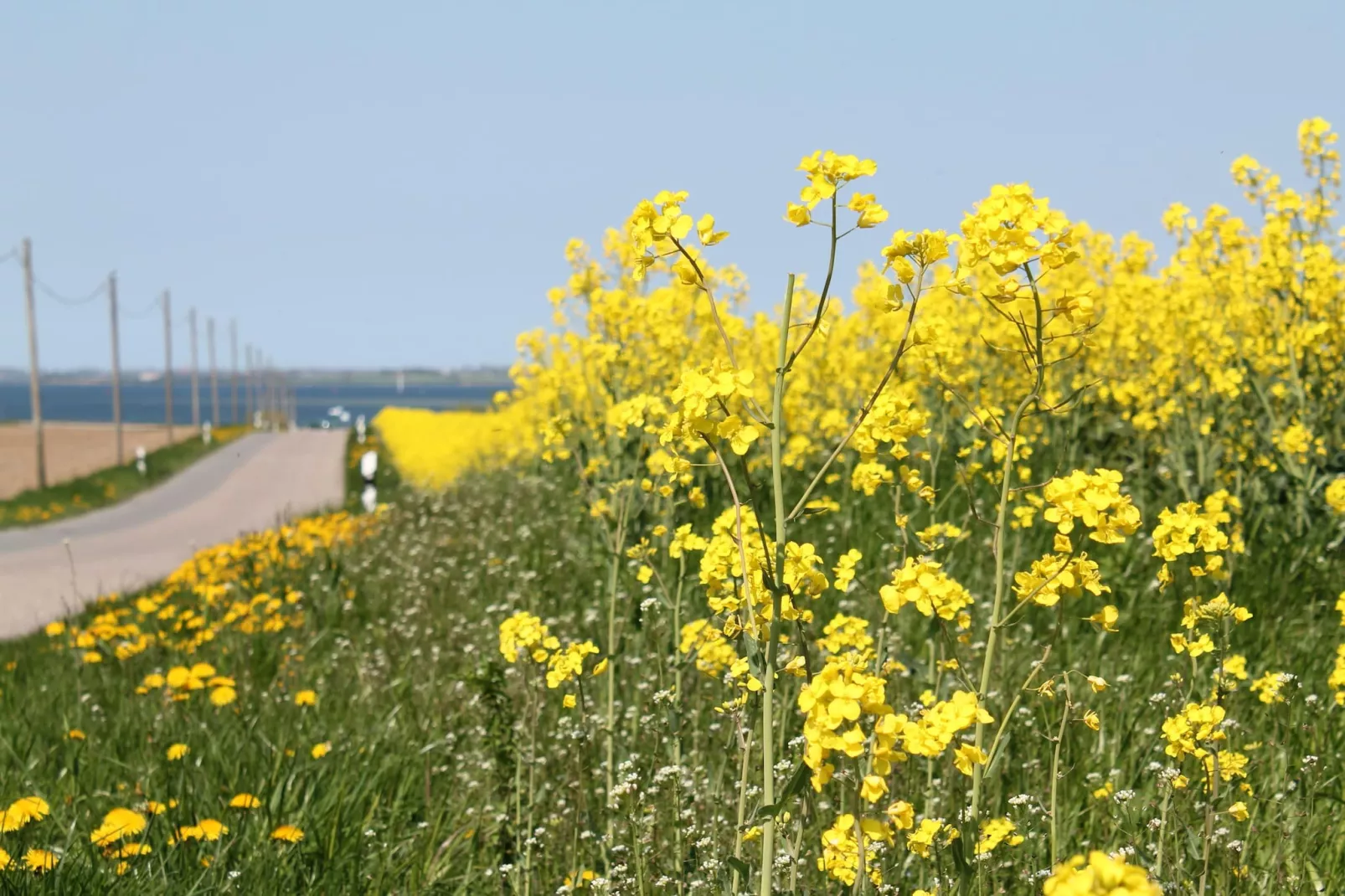 An der Bamburg-Tuinen zomer