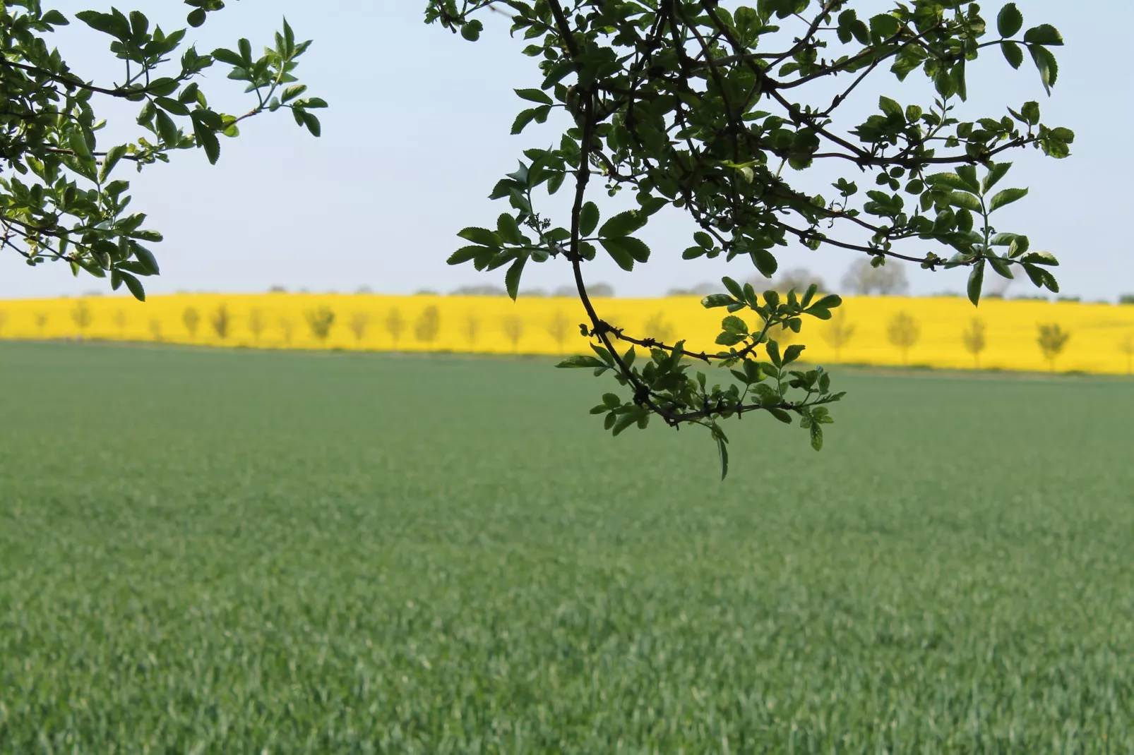 An der Bamburg-Gebieden zomer 1km