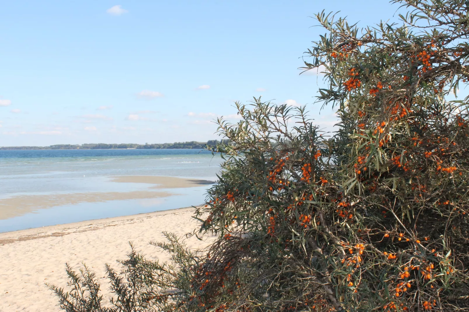 An der Bamburg-Gebieden zomer 5km