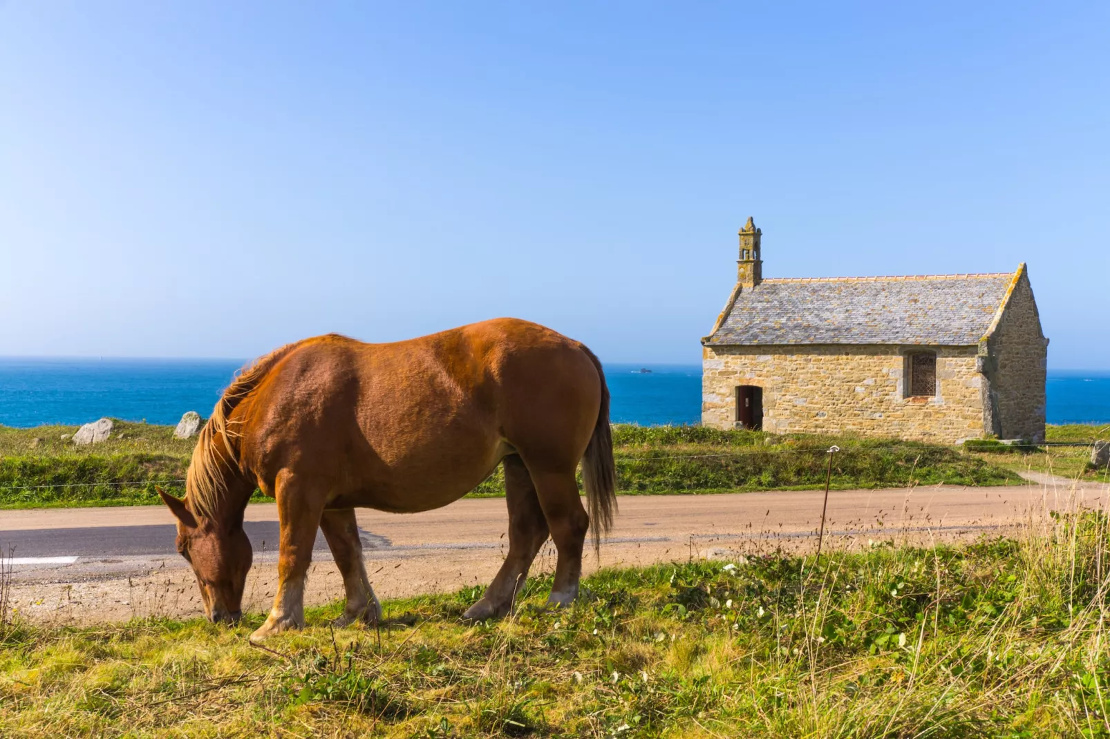 ILE WRACH - Landéda-Image-tags.