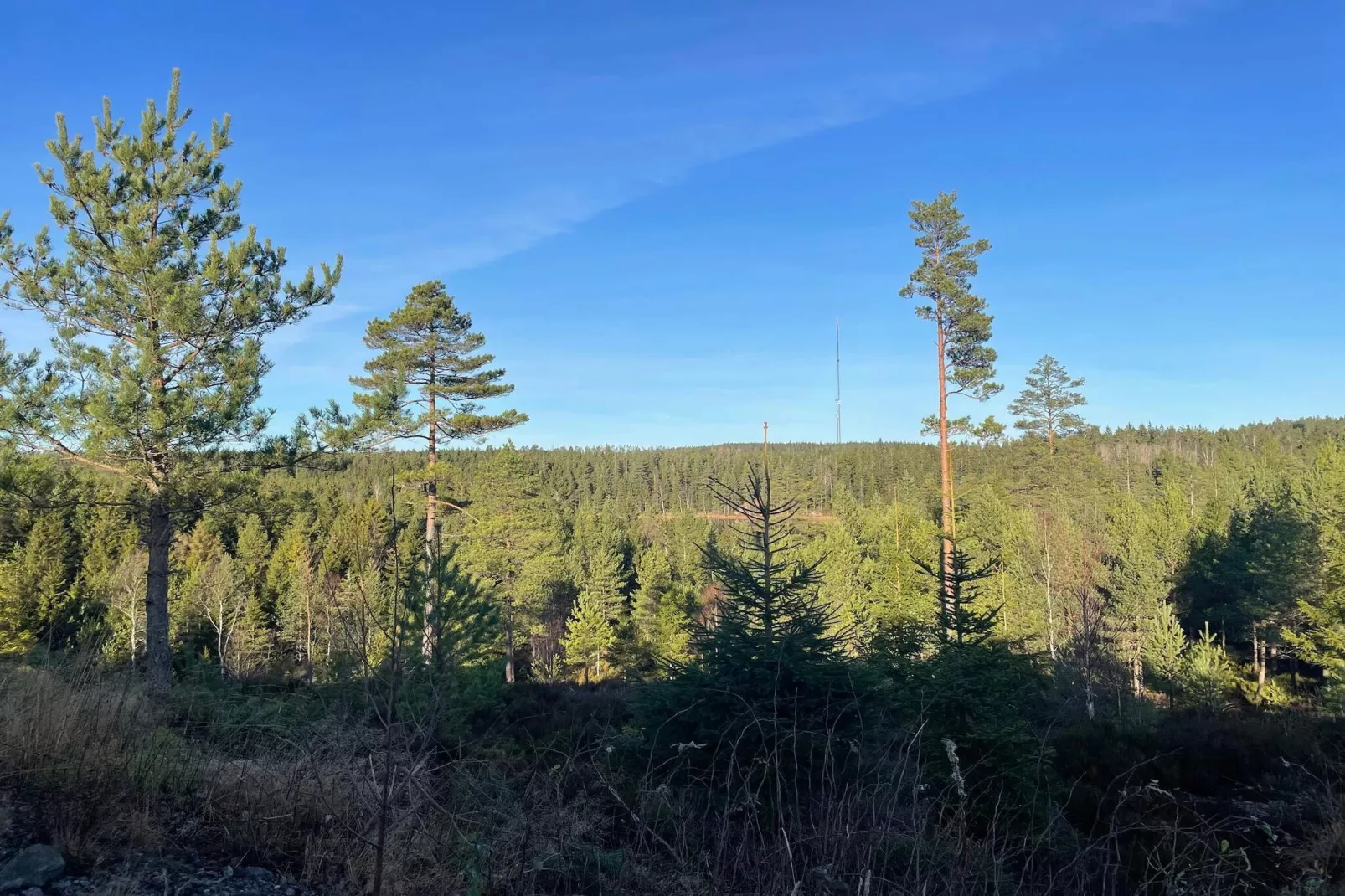 4 sterren vakantie huis in BÄCKEFORS-Buitenlucht