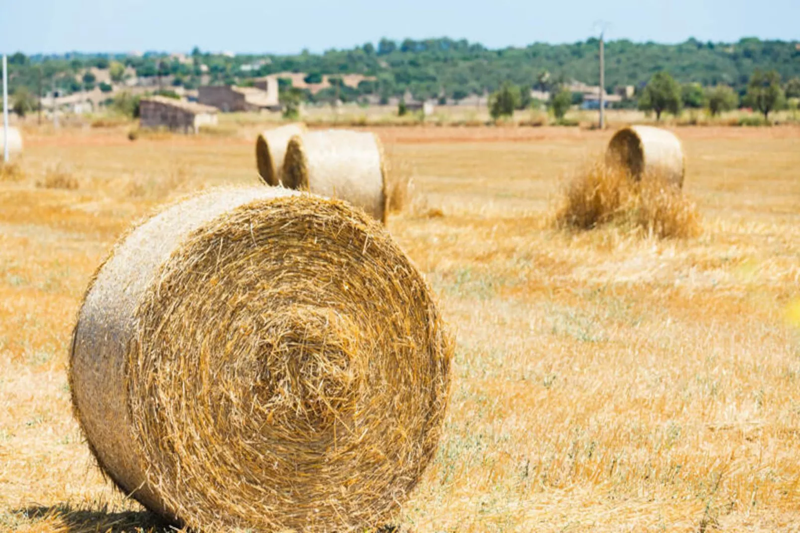 Maison à Santa Margalida-Image-tags.