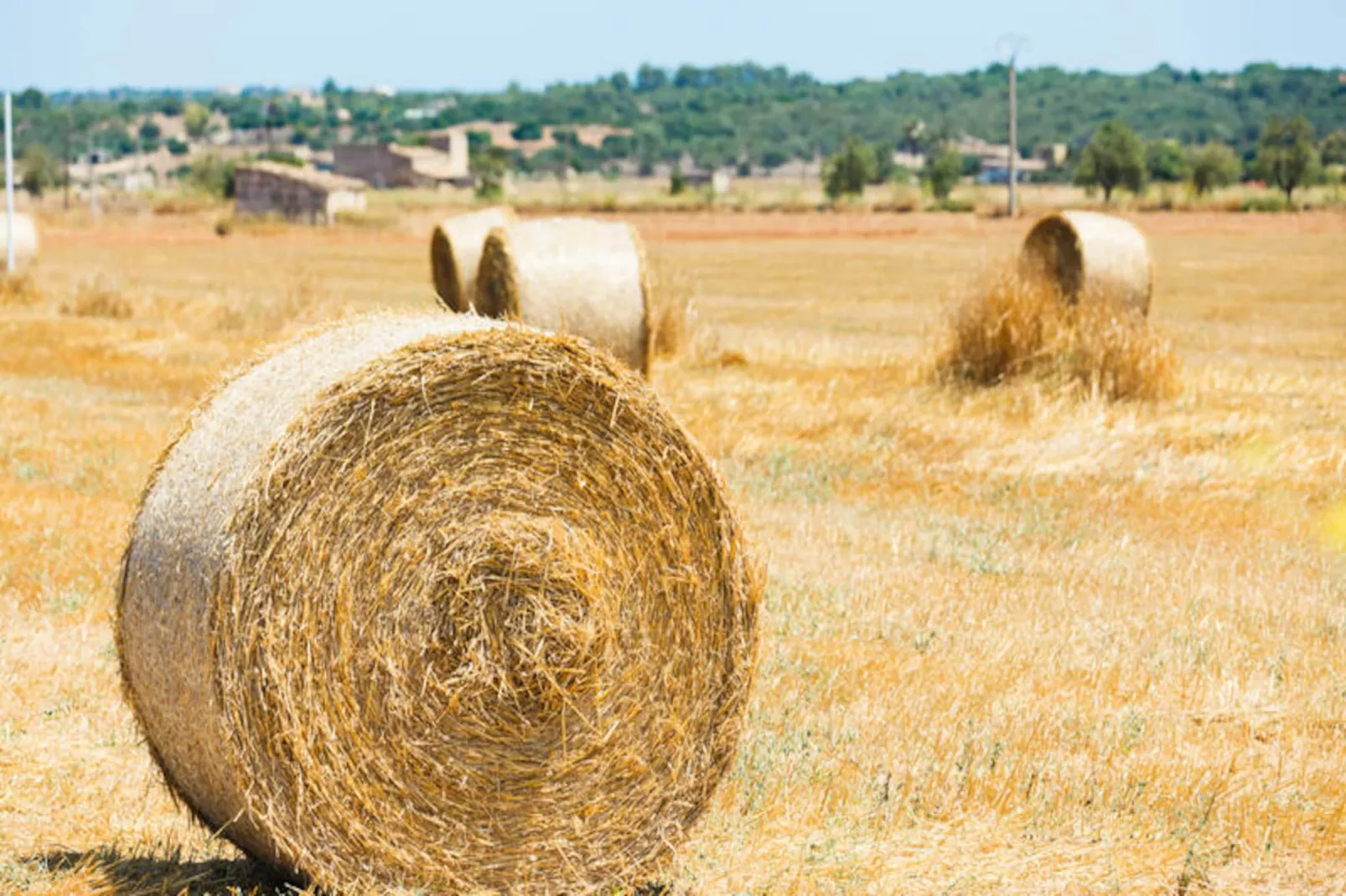 Maison à Son Serra de Marina-Image-tags.