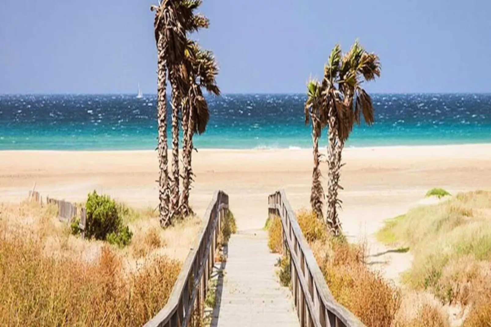 Location de Vacances Conil de la Frontera 21-Image-tags.