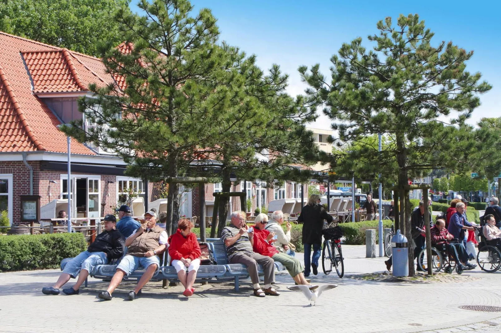 Fewo Gröde St Peter-Ording-Gebieden zomer 5km