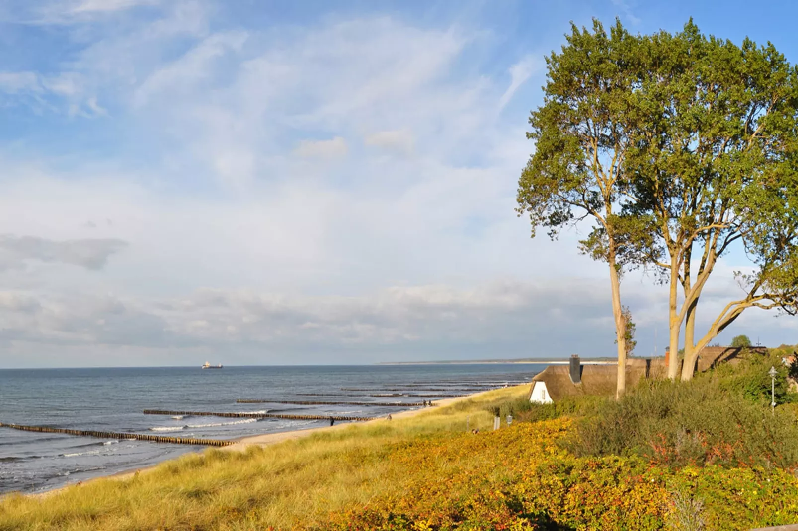 Ferienwohnung Zingst-Diek 15-Gebieden zomer 5km