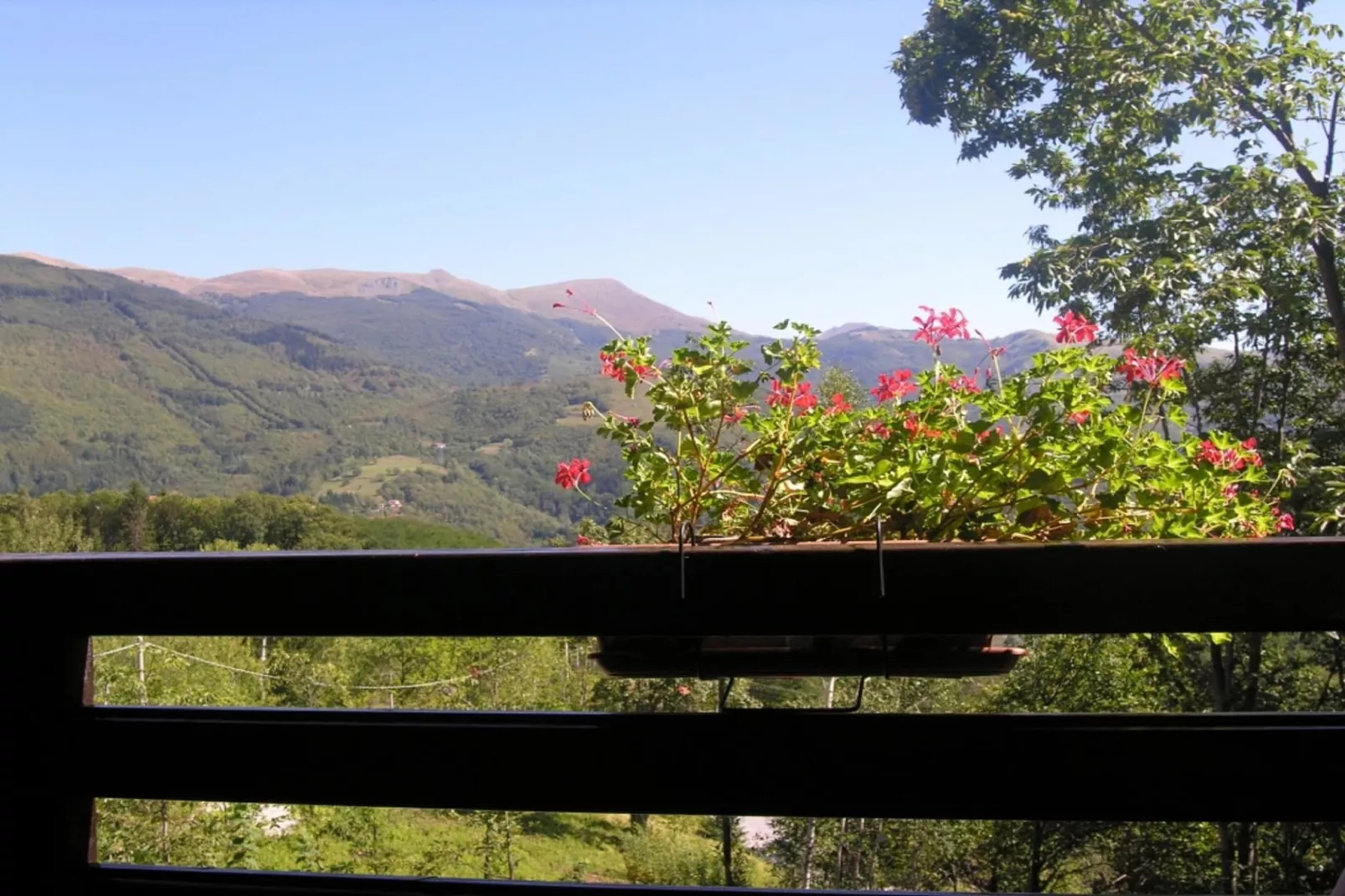 Chalet Appennino-Uitzicht zomer