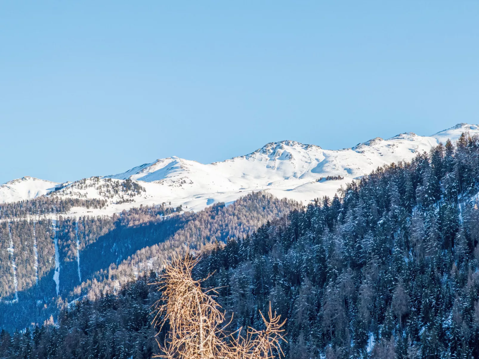 Aiglon E2-Buiten