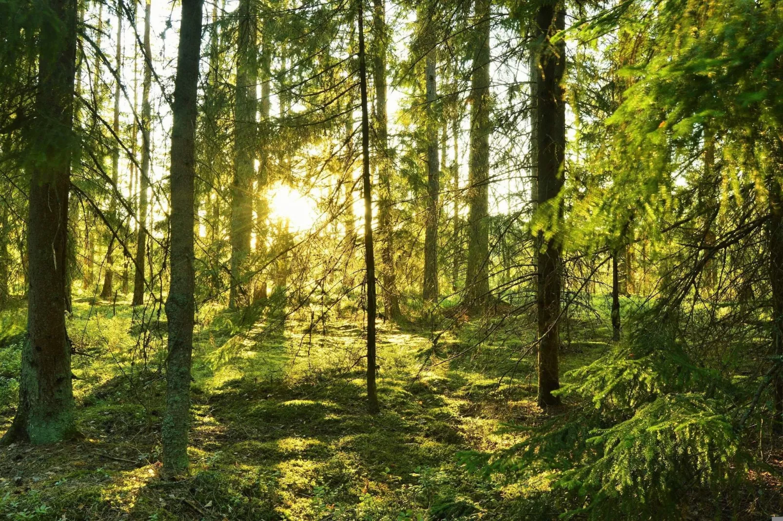 6 persoons vakantie huis in Skummeslövsstrand-Buitenlucht