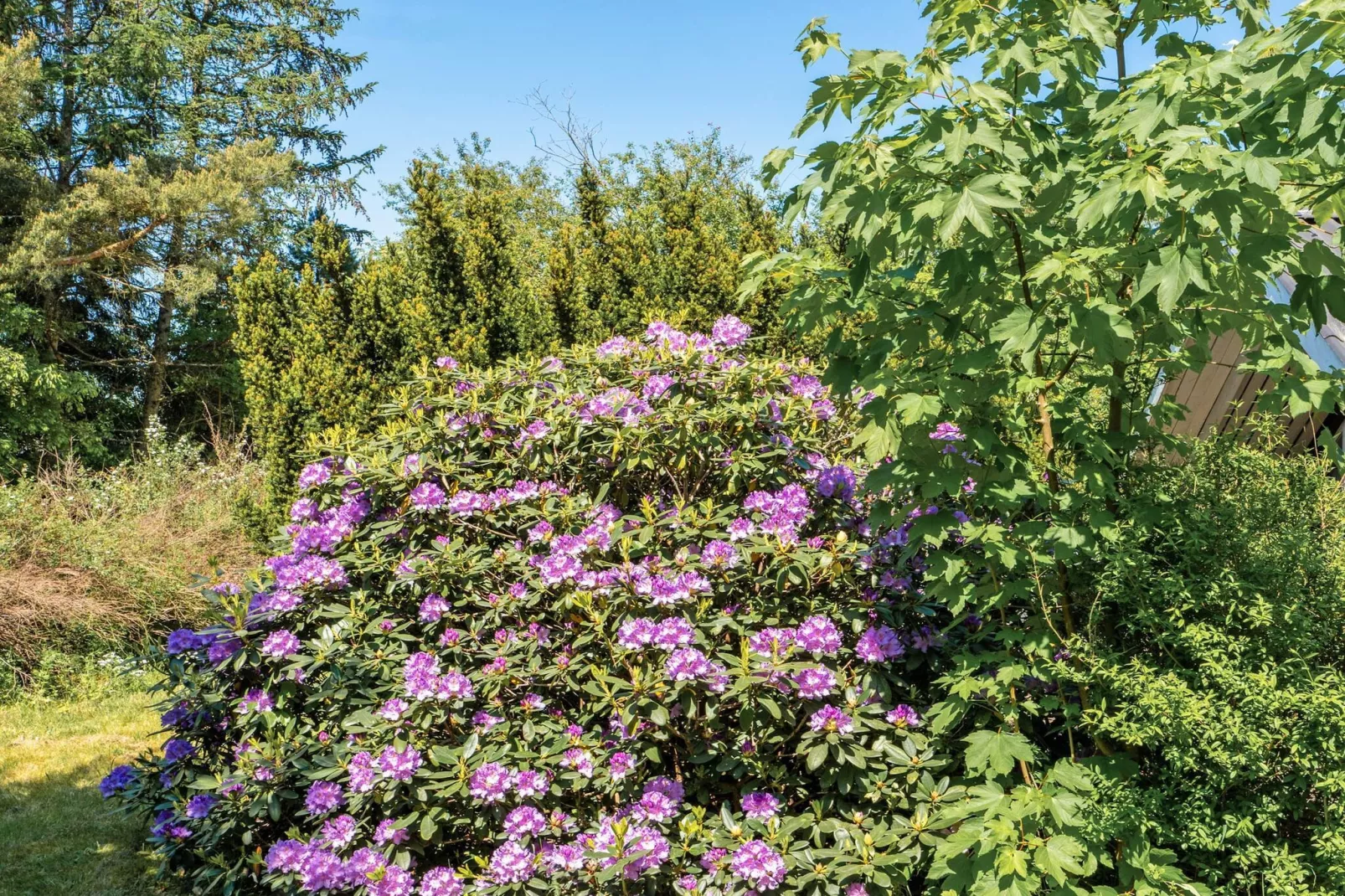 4 persoons vakantie huis in Fårvang-Buitenlucht