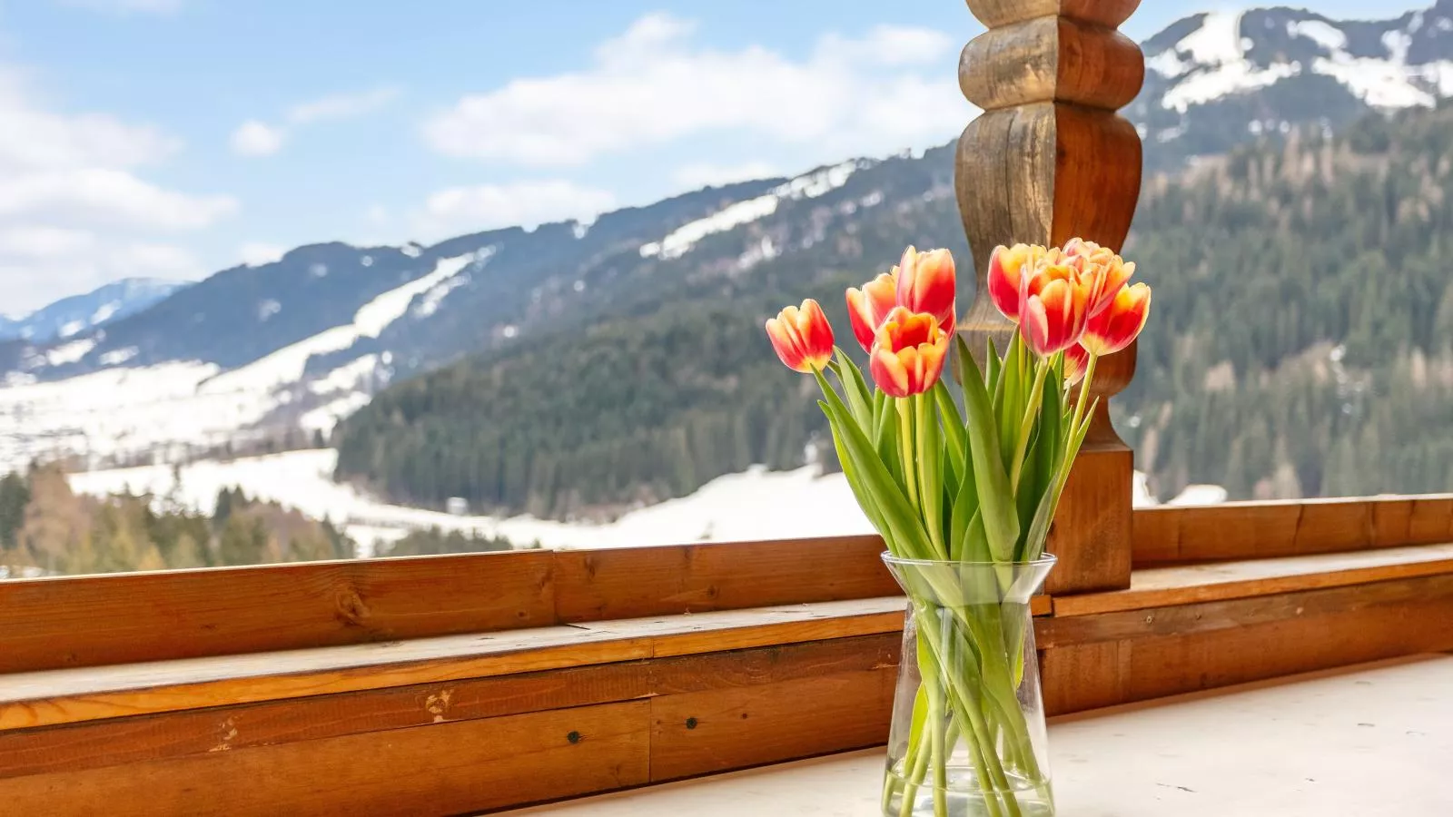 Landhaus Sonnenzauber-Uitzicht winter