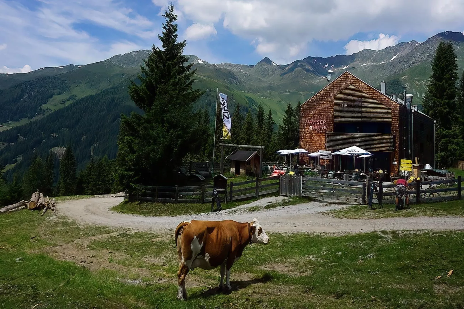 Naviser Hütte Wohnung Kreuzjoch 142-Gebieden zomer 1km