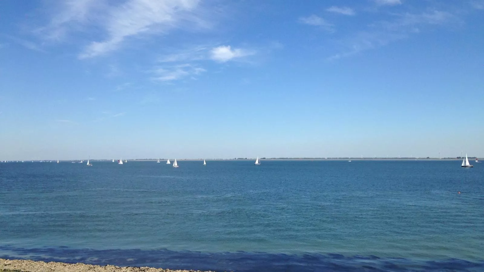 Vogeltrek-Gebieden zomer 1km