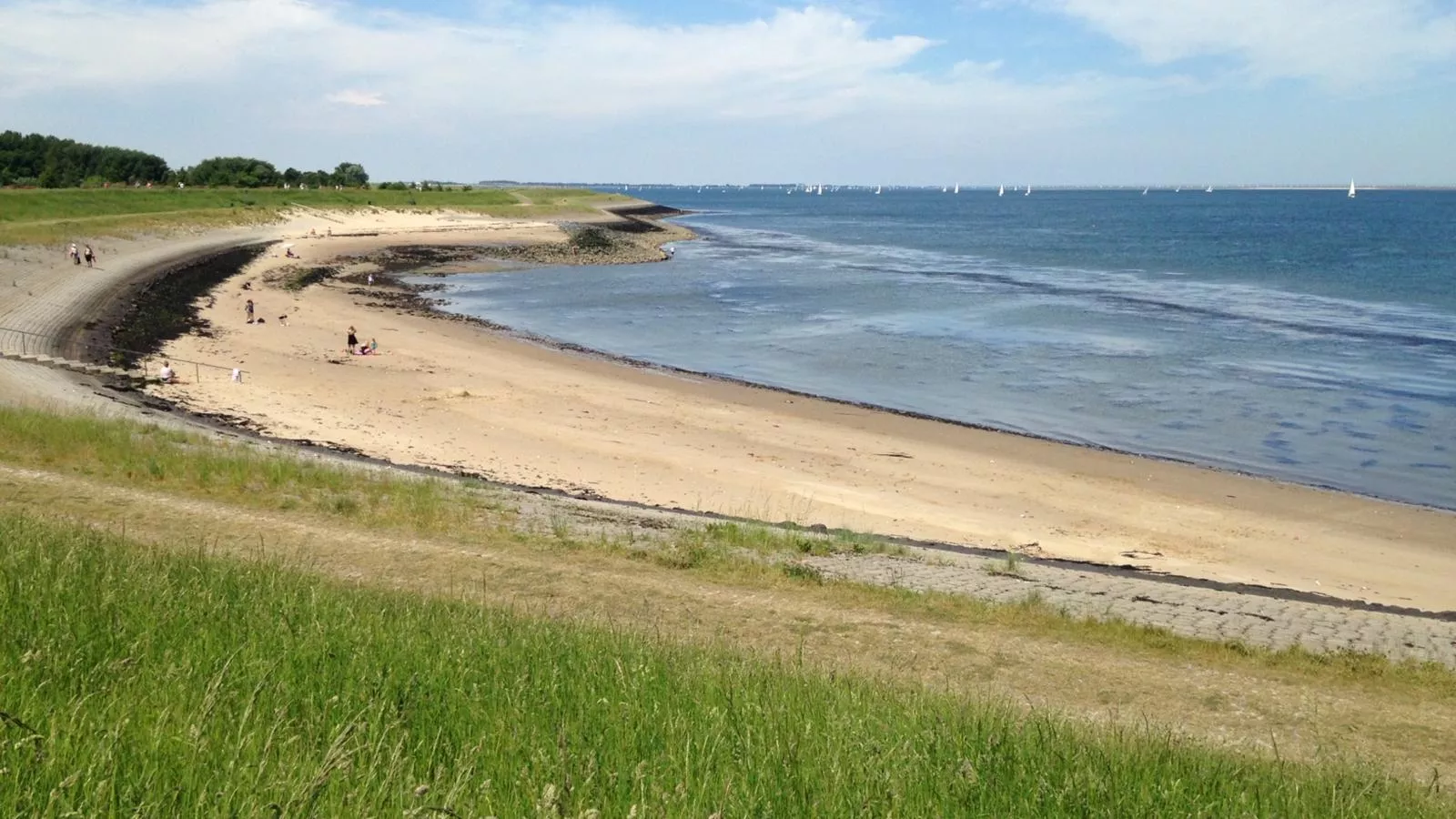 Vogeltrek-Gebieden zomer 1km