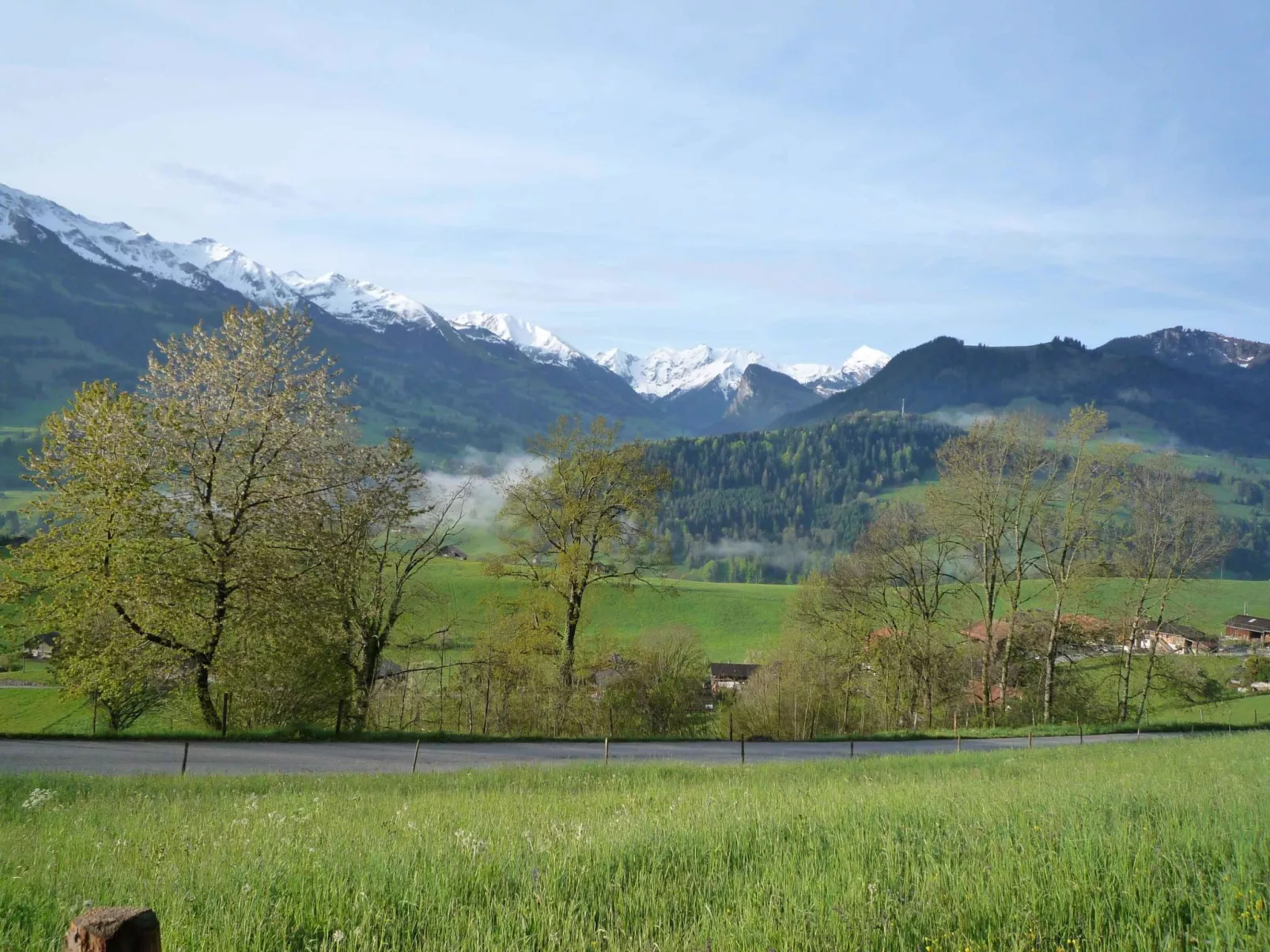 Ferienhaus Niesen View