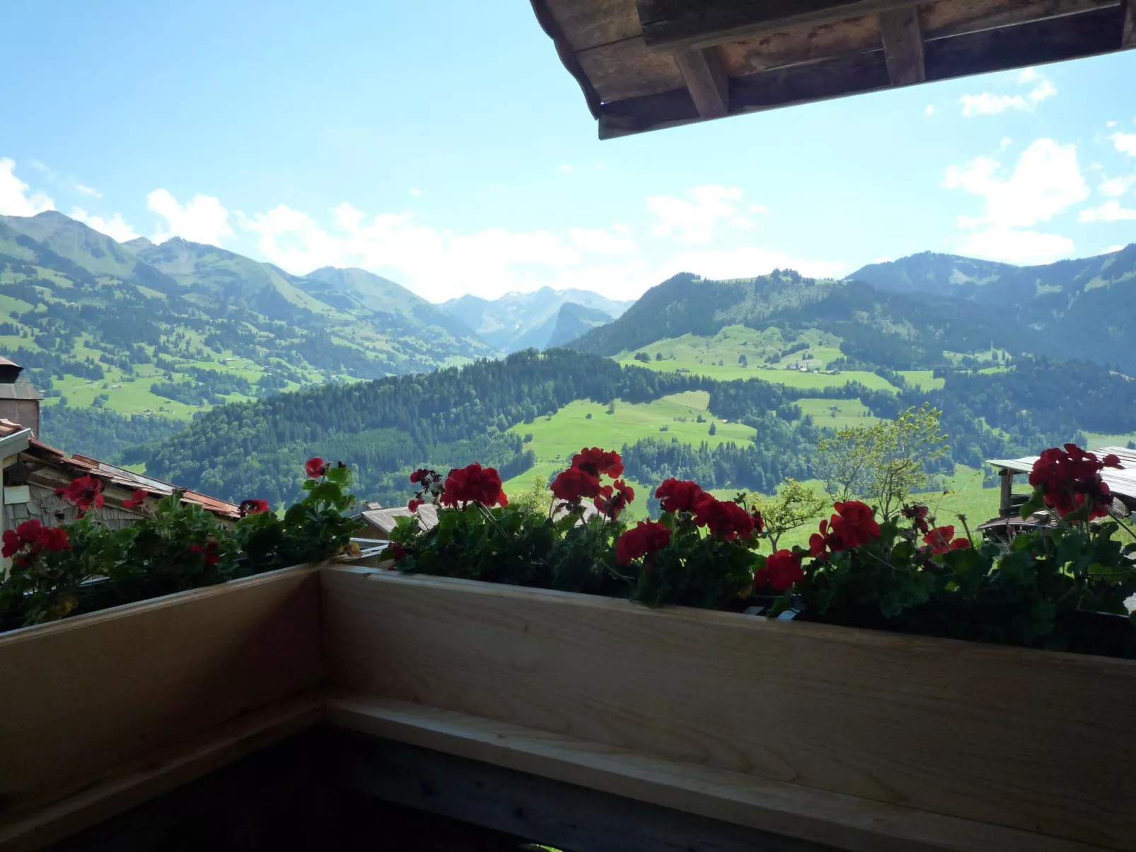 Ferienhaus Niesen View-Binnen