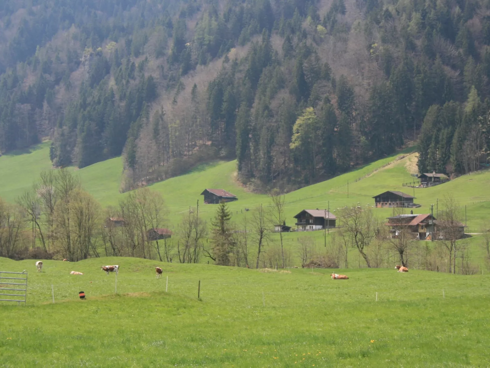 Chalet Bifigen-Buiten