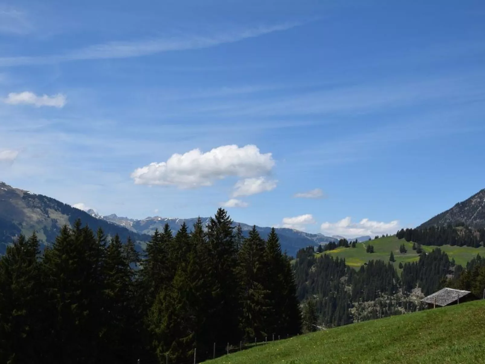 Alphütte Gibelhüttli-Buiten