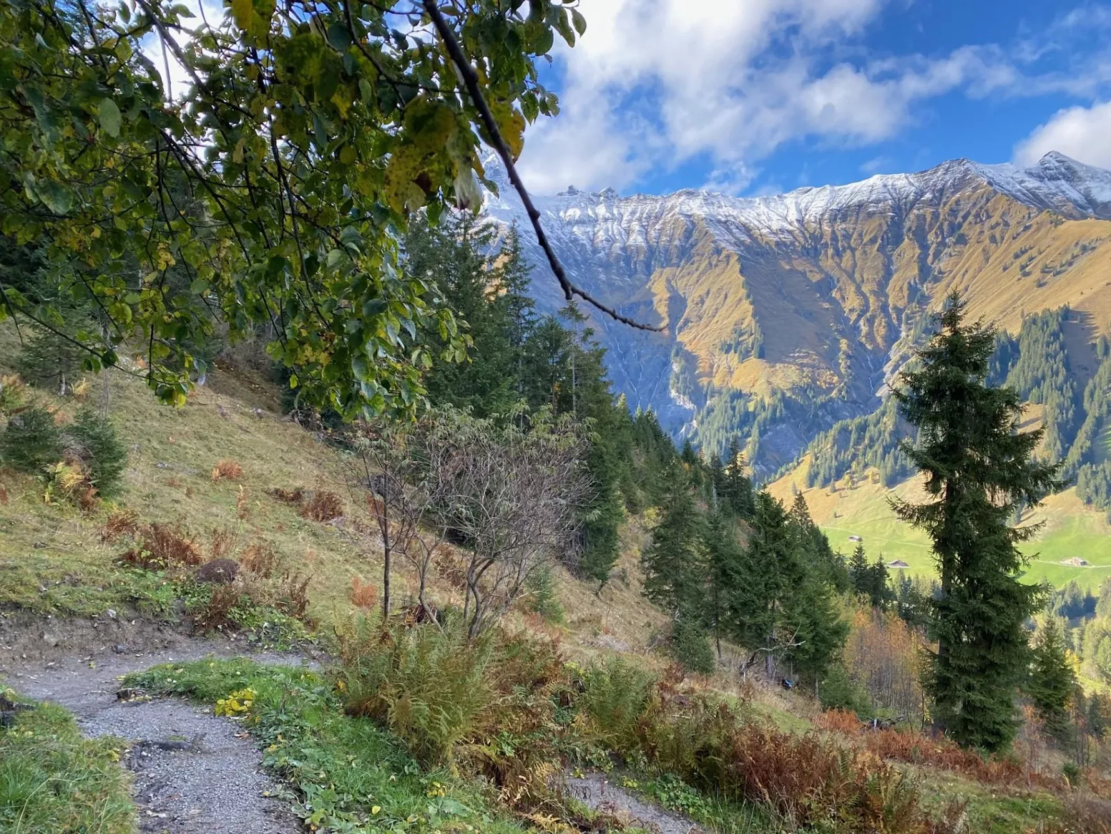 Alpenrose-Buiten