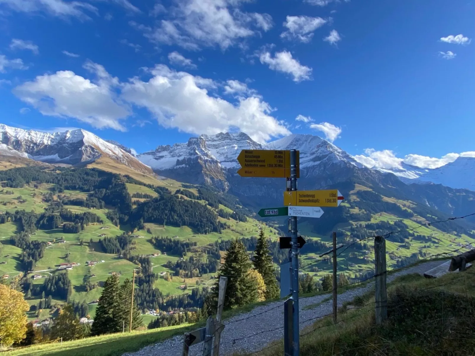 Alpenrose-Buiten